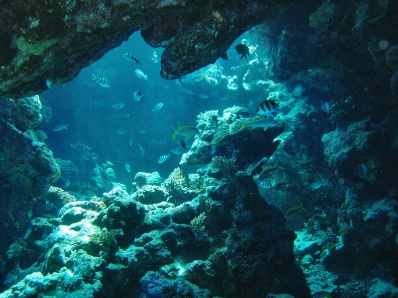 P1011678.jpg
